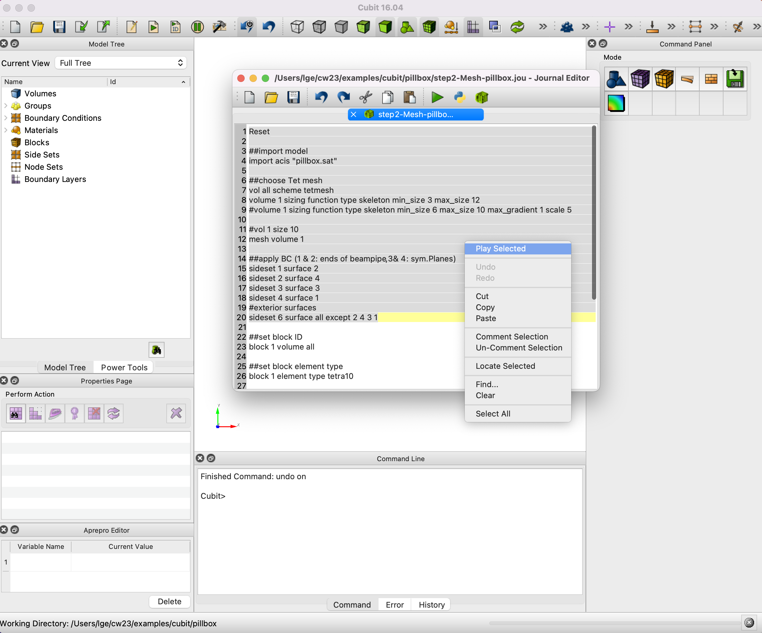 Journal Editor with Play Selected